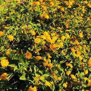 Meet your Posher, Jocelyn